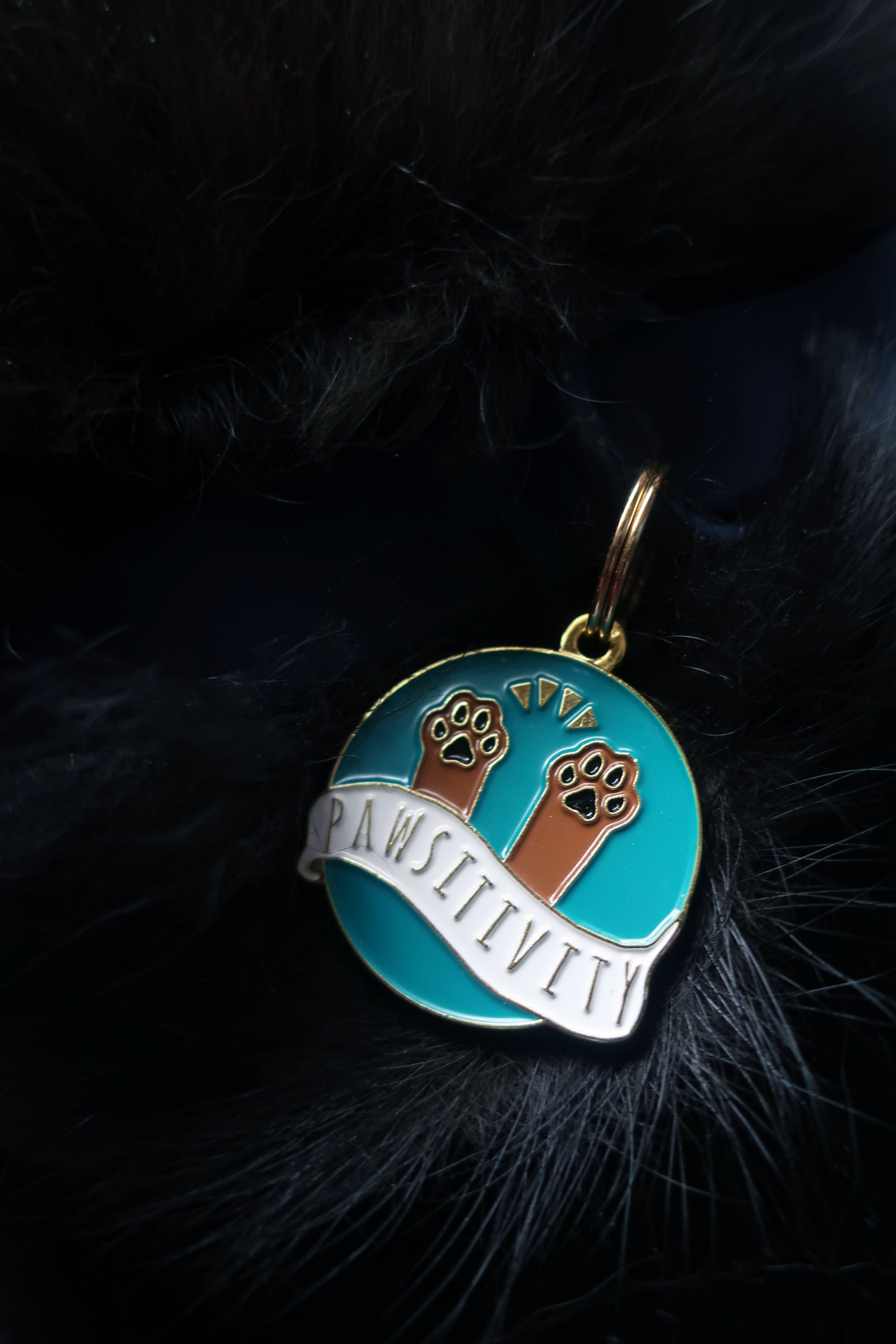 Pawsitivity