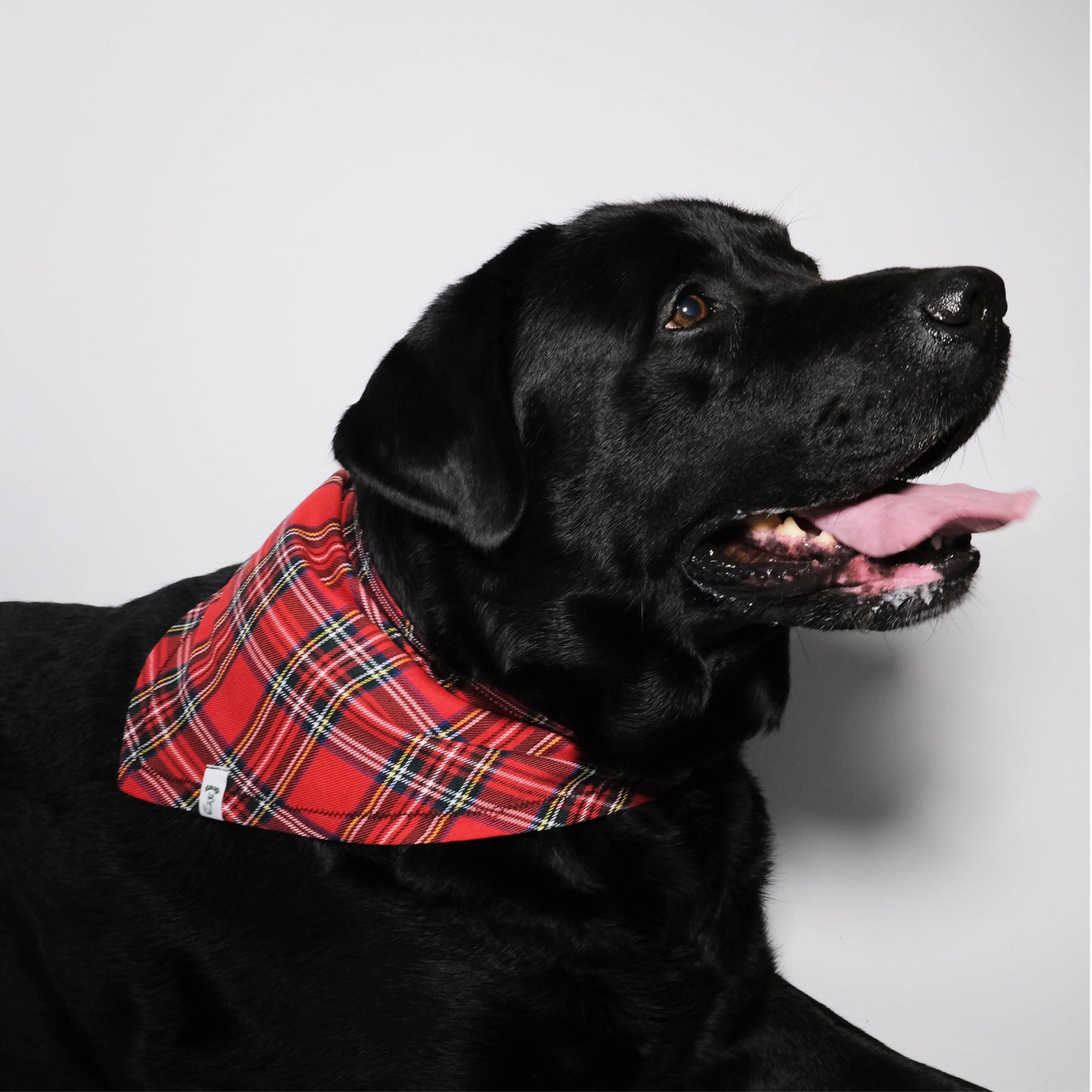 Santa's Little Helper Bandana