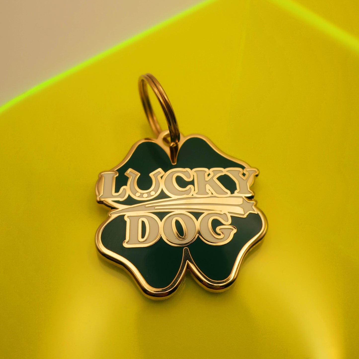 Lucky Dog